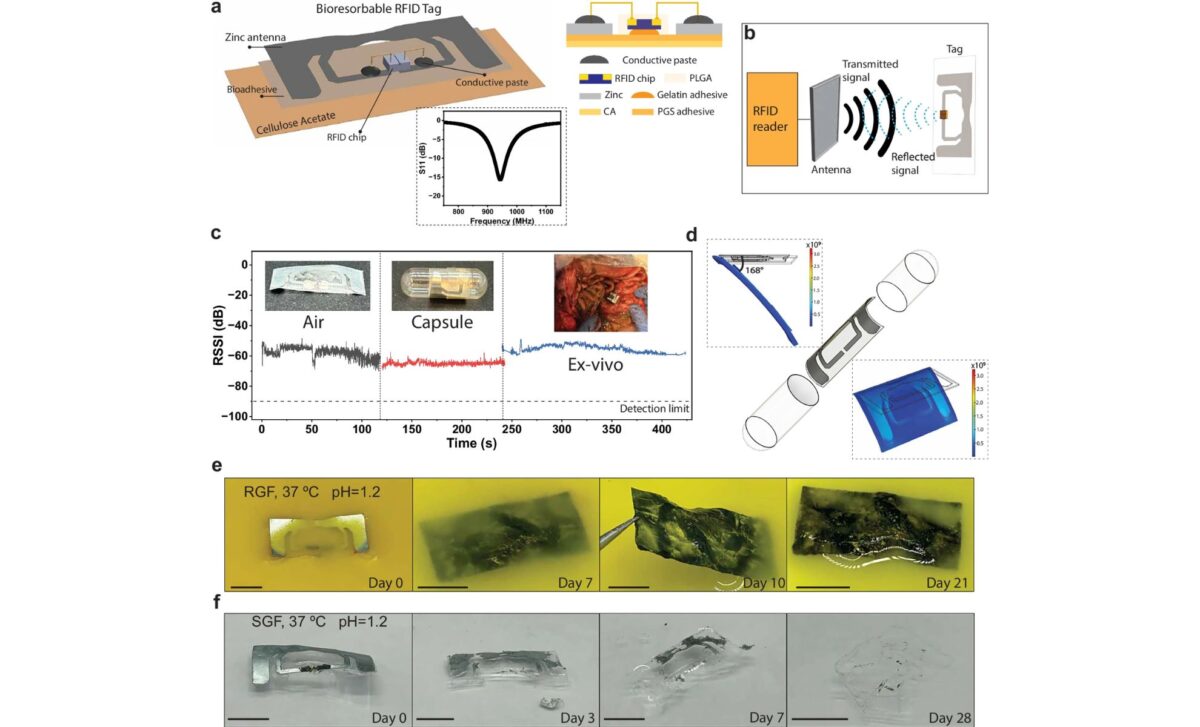 Rfid Capsule Design, Signal Tests In Air And Stomach, And Dissolution In Gastric Fluid (ph 1.2, 37 °c). ©nature