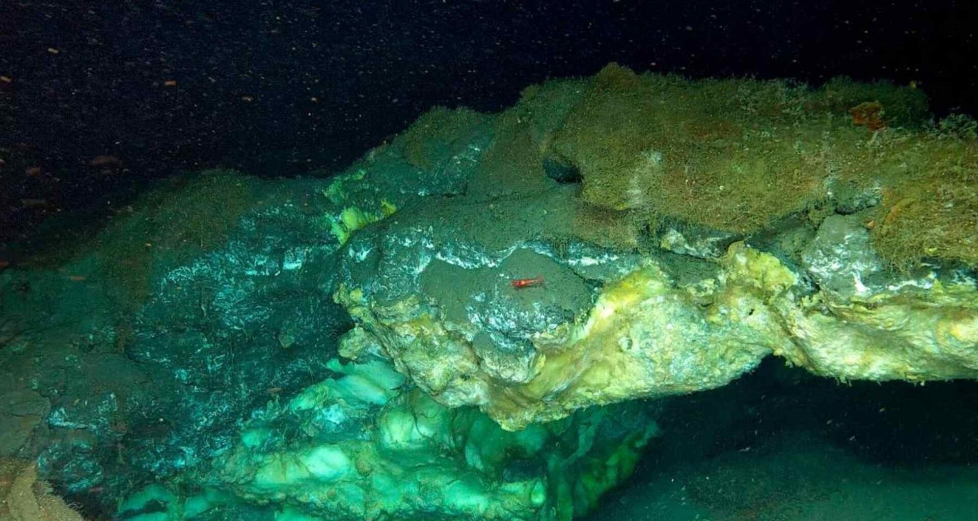 Robot maps living oasis nearly 4.000 meters deep in the Arctic, revealing deep gas hydrates and unexpected biodiversity.