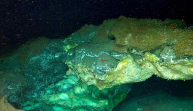 Robot maps living oasis nearly 4.000 meters deep in the Arctic, revealing deep gas hydrates and unexpected biodiversity.