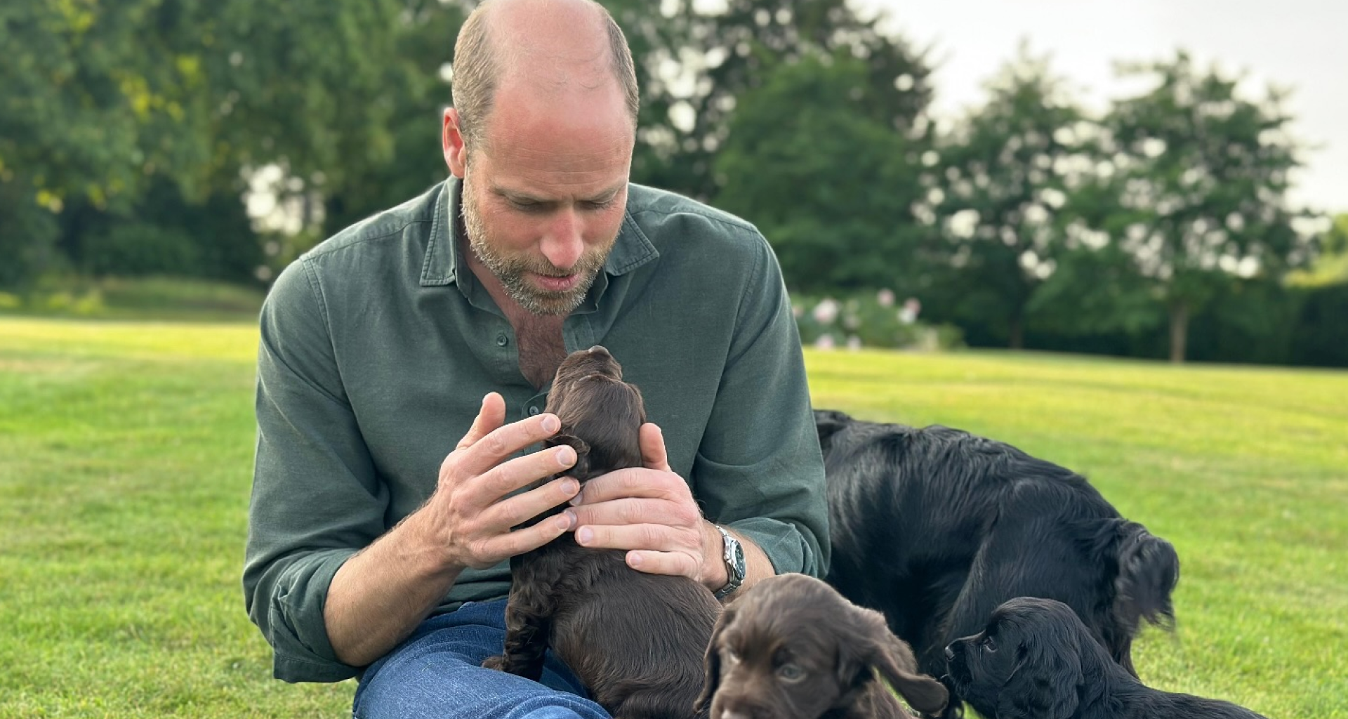 Prince William sitting in grass petting puppies