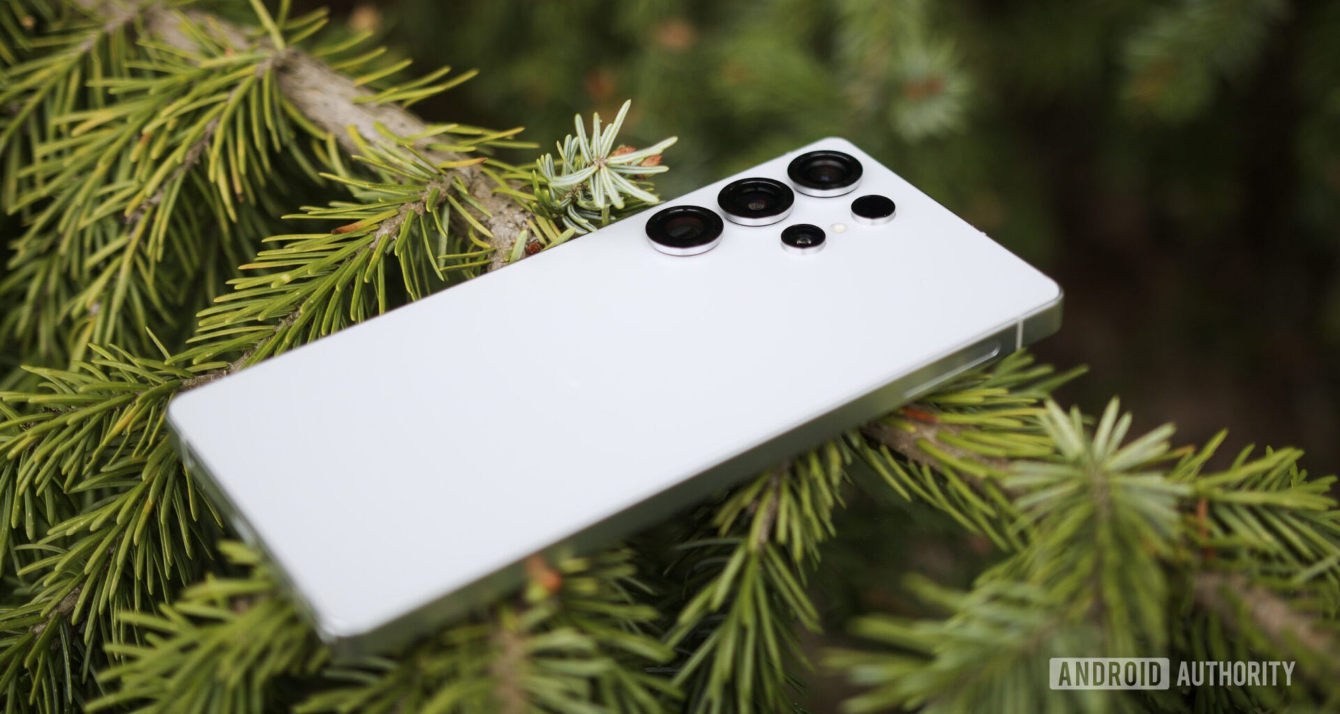 The Samsung Galaxy S25 Ultra laying on top of a tree branch.