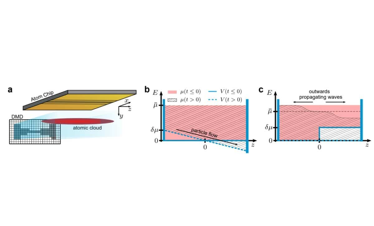 Schematic Of The Experimental Protocol. ©science