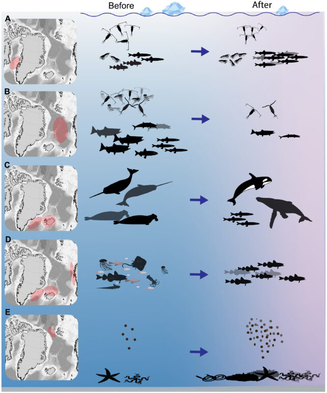 23 Years Later, North Atlantic Ecosystems Are Still Reeling From A Massive Ocean Heat Wave