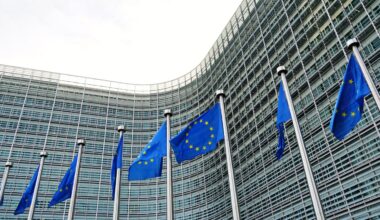 EU guidance sets price undertaking route for Chinese EV imports