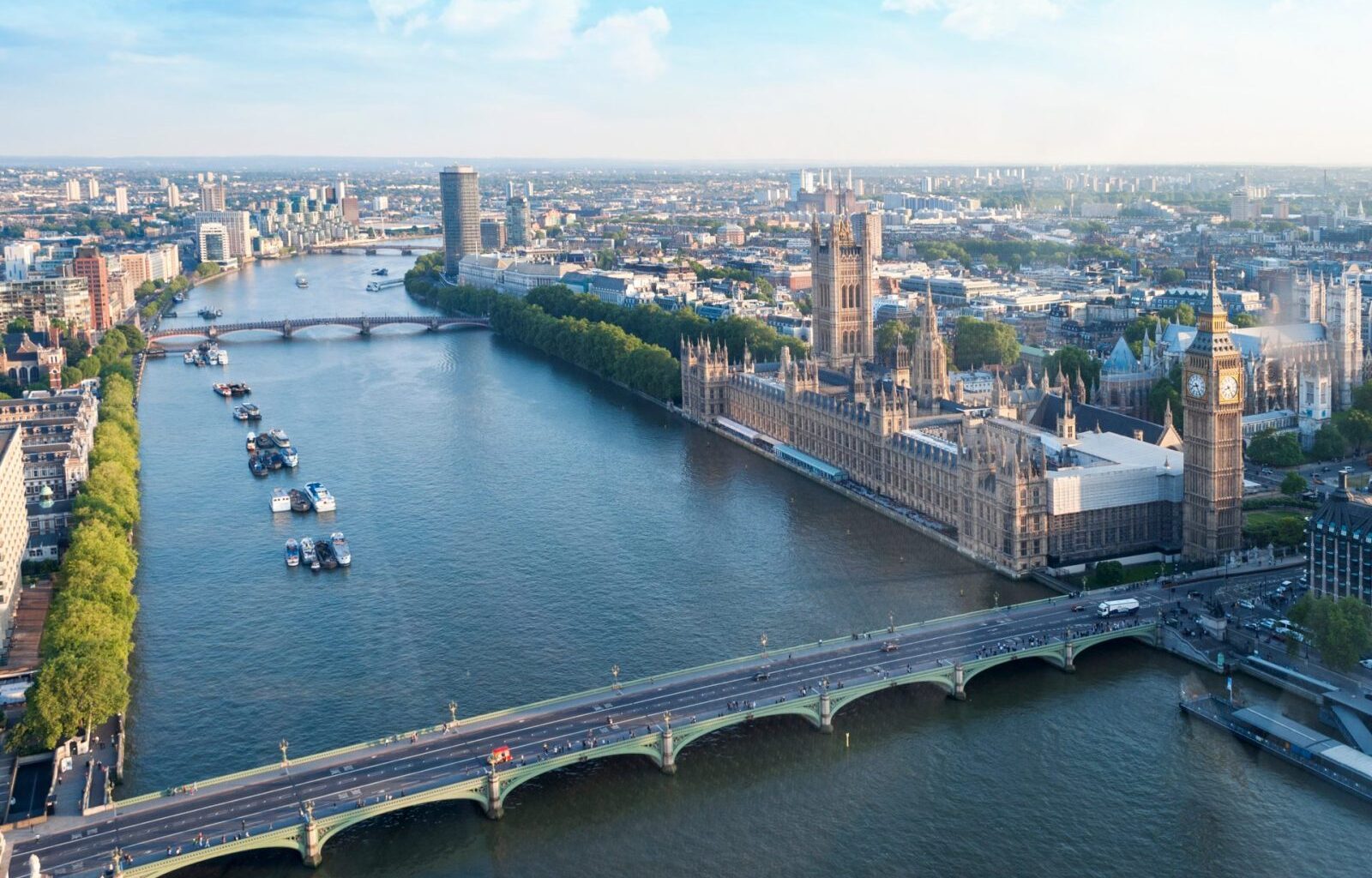 Man Allegedly Threw Kittens Into the River Thames, London – One Green Planet