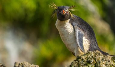 Stop making issue of AI slop in kernel docs • The Register