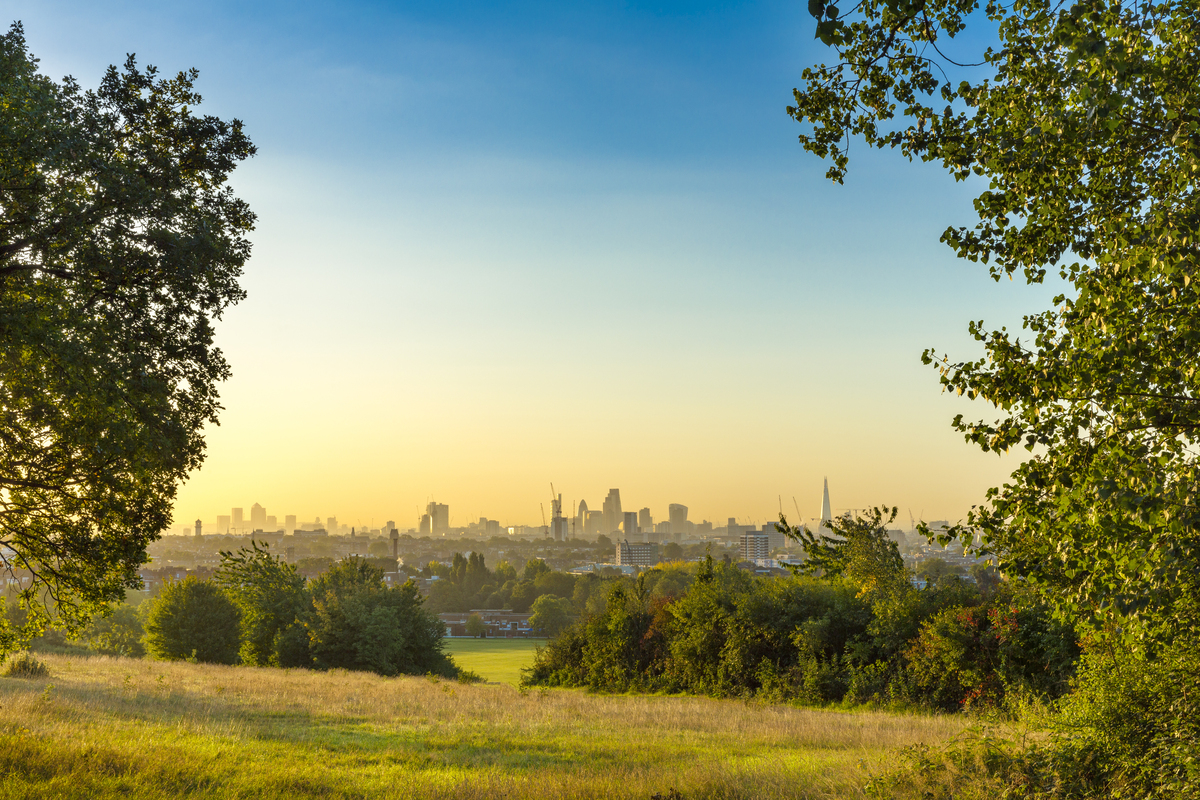 The City of London Cityscape at Sunrise with early Morning Mist from Hampstead Heath