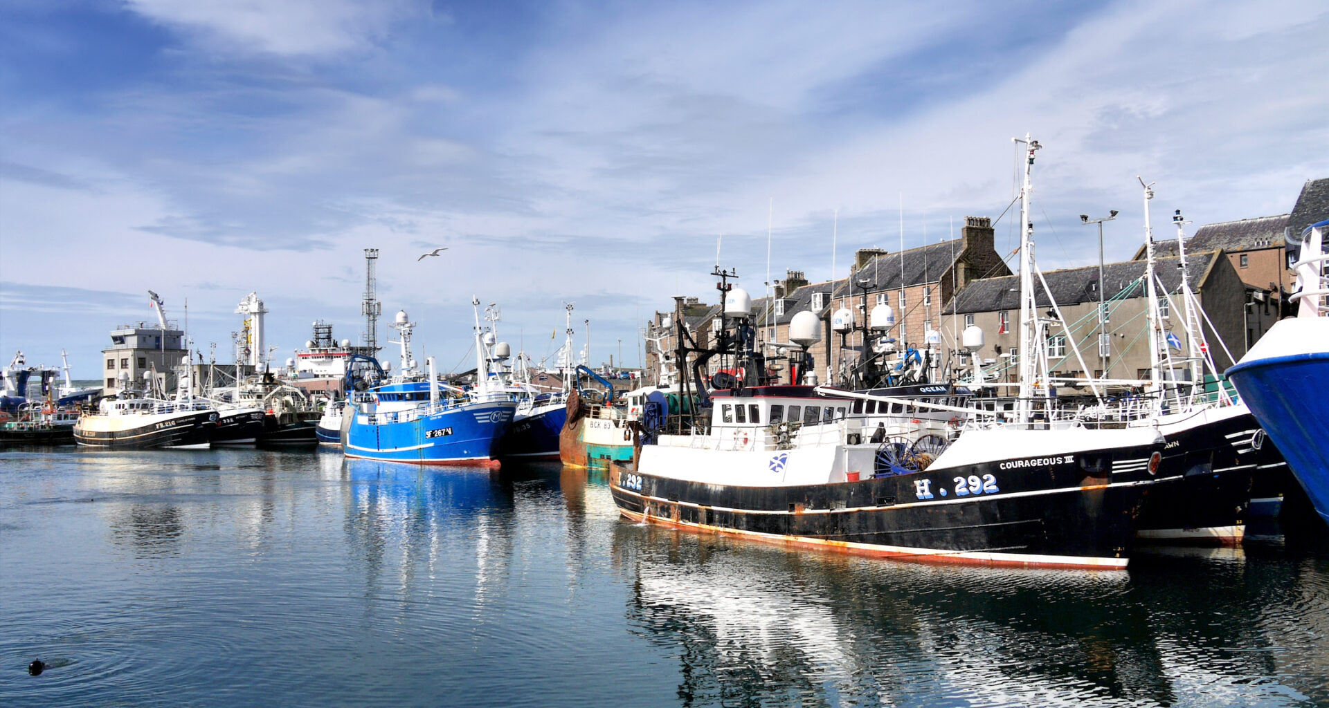 New Brexit paperwork threatens thousands of jobs in Scotland's seafood sector