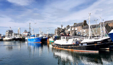 New Brexit paperwork threatens thousands of jobs in Scotland's seafood sector