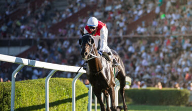 Entain Rolls Out Racing Bet Builder via Ladbrokes, Coral