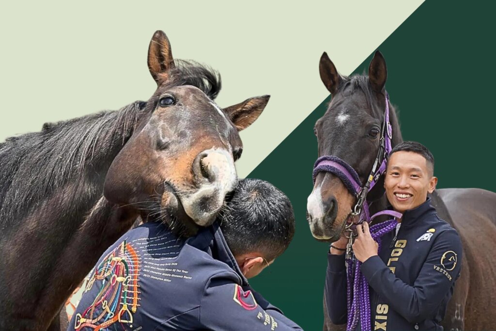 Golden Sixty and Vincent Ho reunited at Northern Horse Park