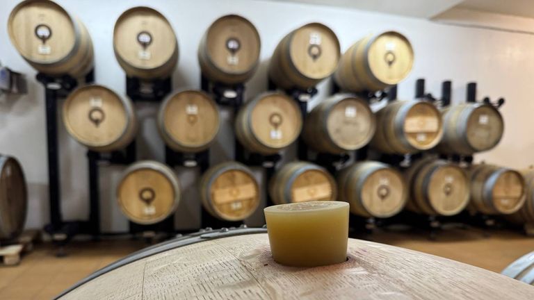 Barrels of wine at the vineyard