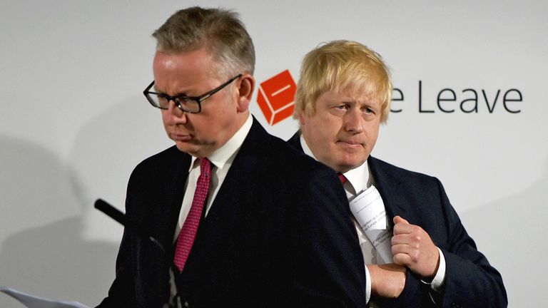 Johnson and Gove were key to the Leave campaign's success. Pics: Reuters