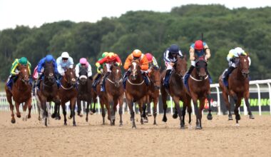 Newcastle hosts action on the all-weather today