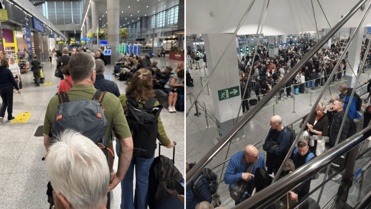 British tourists face 'endless queues' at post-Brexit border checks
