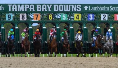 House panel backs new bill to allow cardrooms without live racing at Tampa Bay Downs