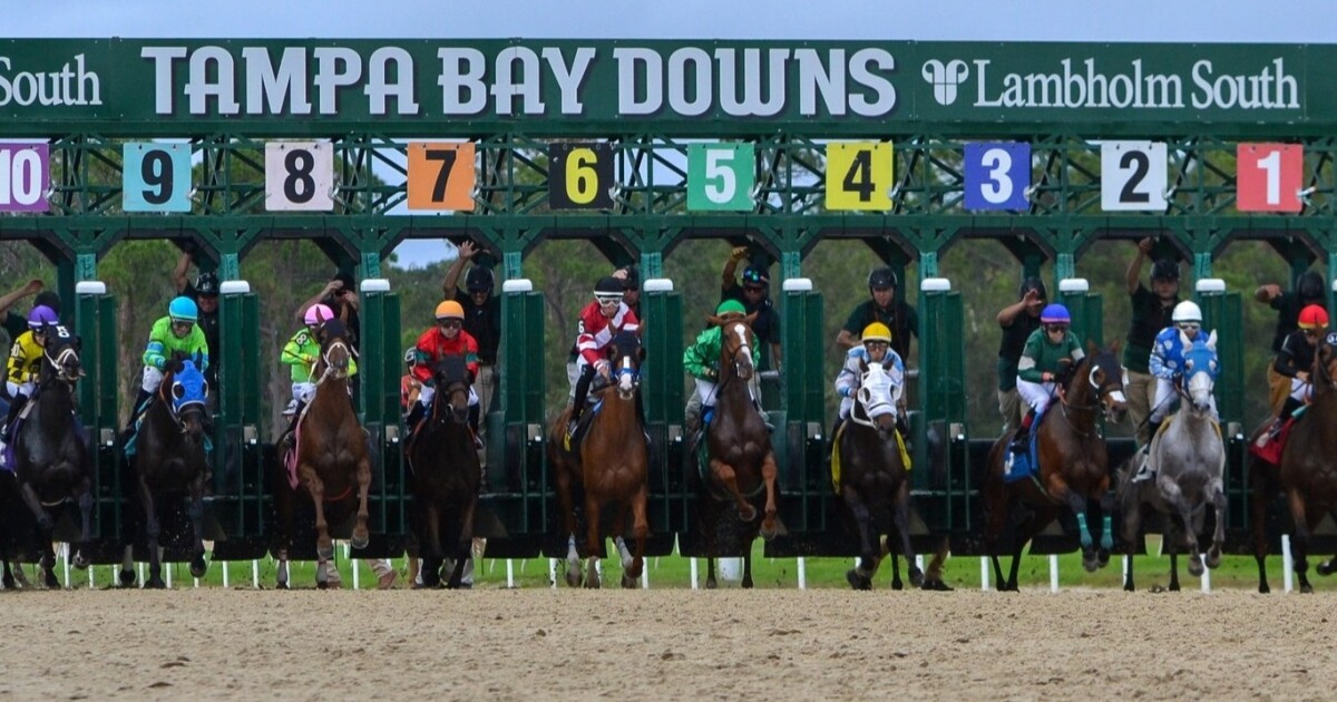 House panel backs new bill to allow cardrooms without live racing at Tampa Bay Downs
