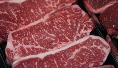 Experts question diet guidelines' higher protein-intake advice