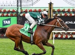 Thank you, Via Sistina: Australia’s mighty mare retired after 12 Group 1 wins | Topics: Chris Waller, Cox Plate, Yulong Investments, Via Sistina