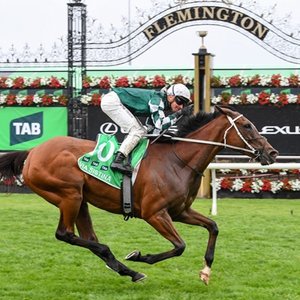 Thank you, Via Sistina: Australia’s mighty mare retired after 12 Group 1 wins | Topics: Chris Waller, Cox Plate, Yulong Investments, Via Sistina