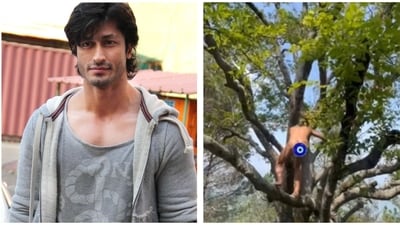 Vidyut Jammwal has shared the video of him climbing a tree on his Instagram account.