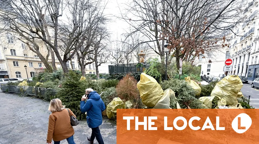 6 essential articles for life in France