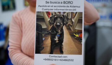 After fatal rail accident, a missing dog that captivated Spain is found