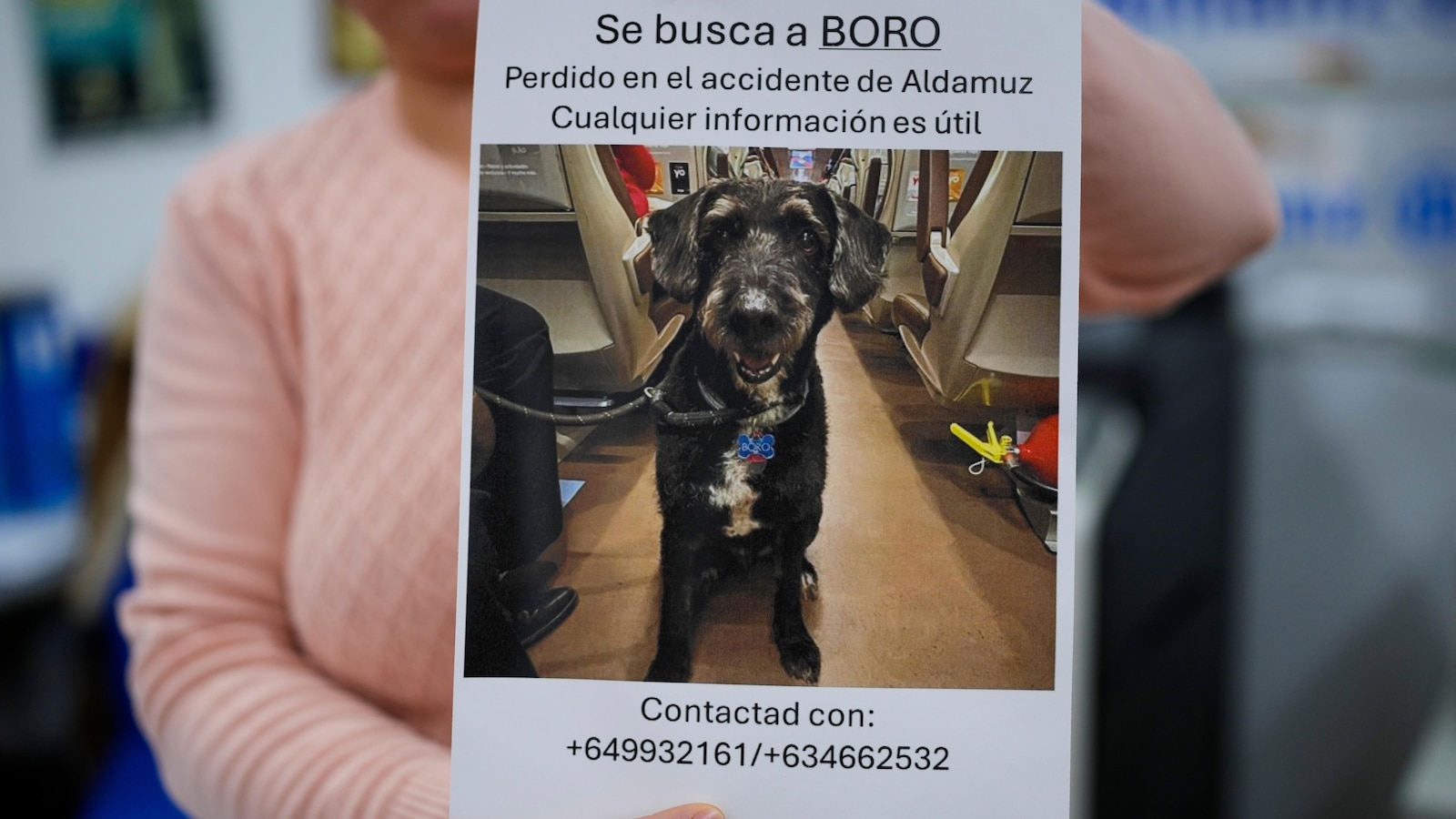 After fatal rail accident, a missing dog that captivated Spain is found