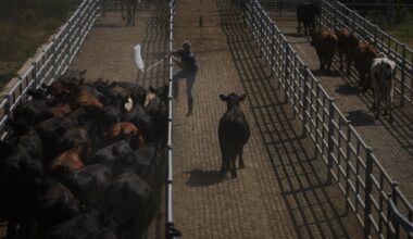 The EU and Mercosur build one of the world's biggest free-trade zones