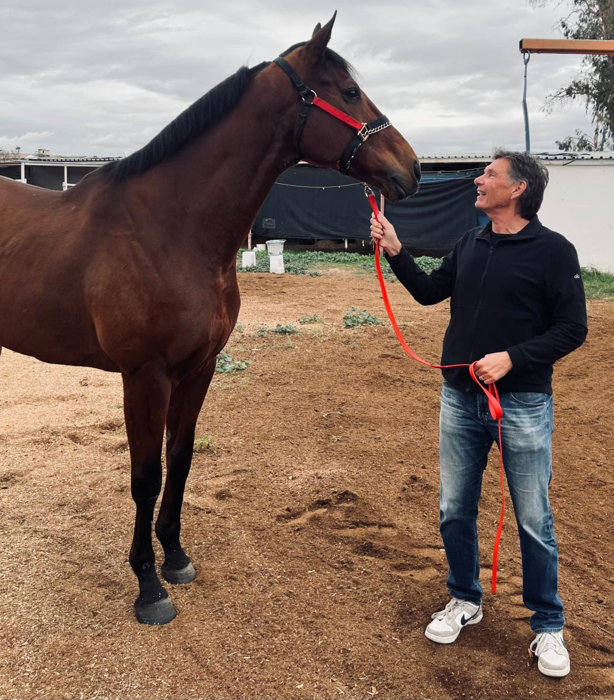 Photo: Surprsinglyperfect with co-owner Jeff Rakoczy at Turf Paradise. Photo courtesy of Jeff Rakoczy