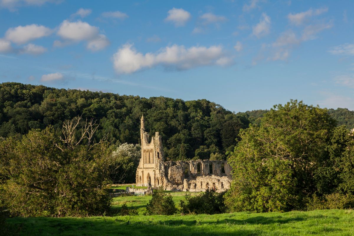
English Heritage historian discovers lost saint