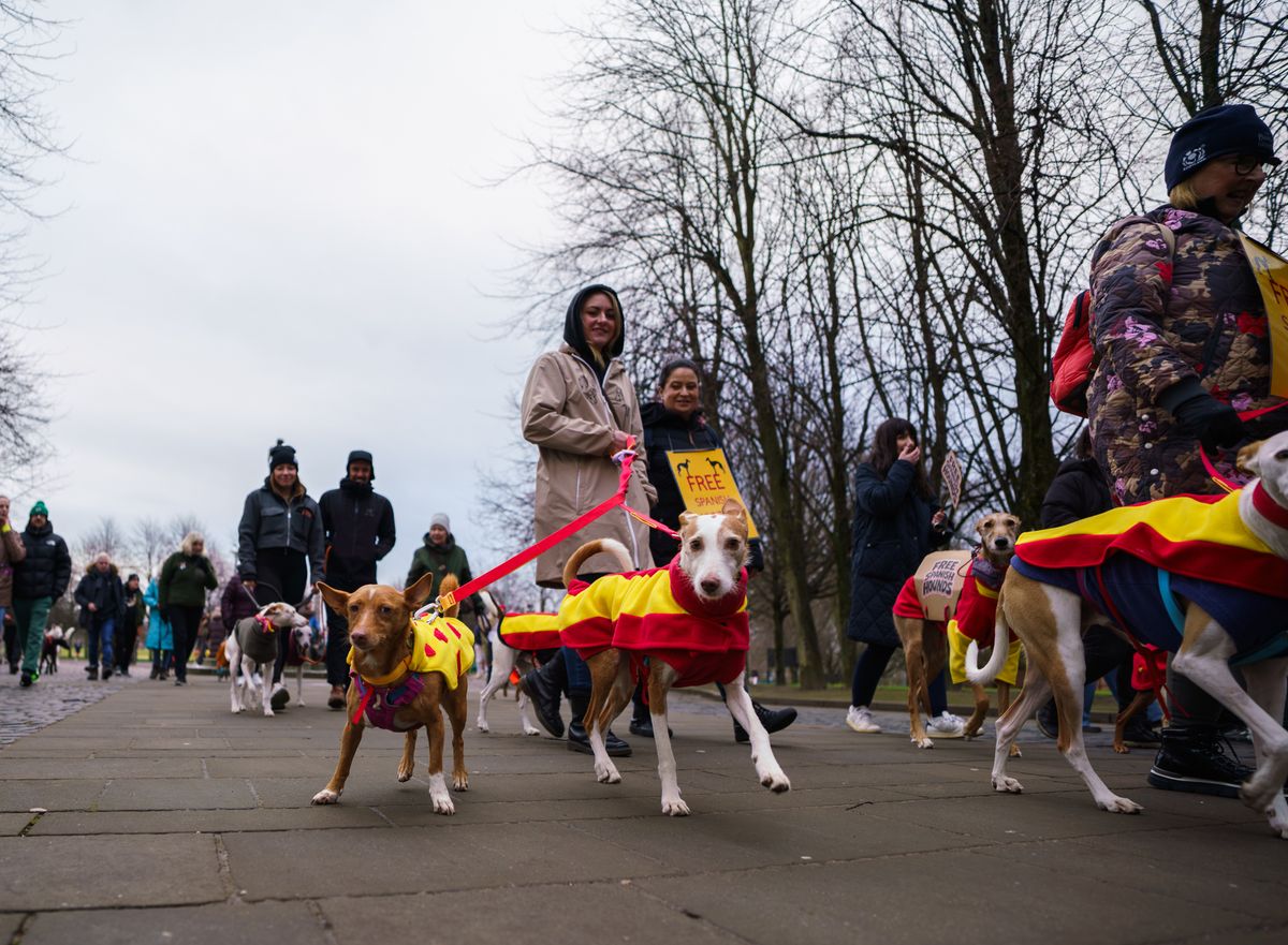spanish dogs protest glasgow