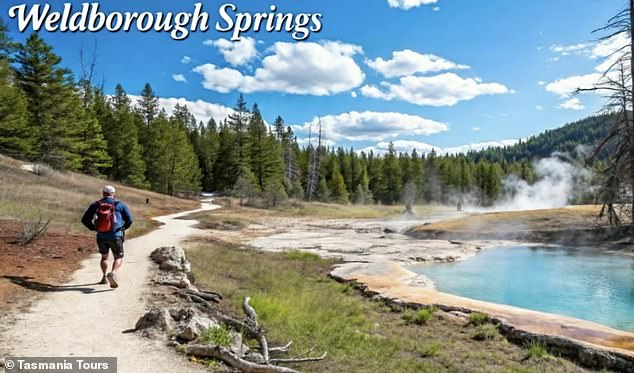Tasmania Tours uploaded a now-deleted article encouraging travellers to visit the Weldborough Hot Springs (pictured, the AI-generated image) - which doesn't exist