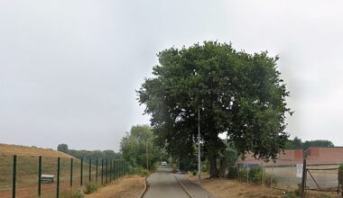 A 46-year-old man has died after a fatal collision on Folly Lane in East London