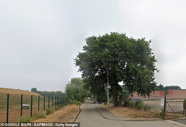 A 46-year-old man has died after a fatal collision on Folly Lane in East London