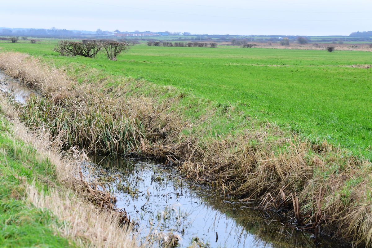 The wetland was described as being one of a kind