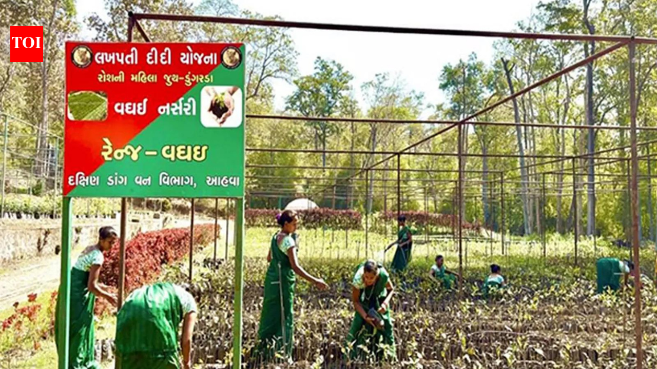 Union Budget 2026: ‘SHE-Marts’ to empower more women become lakhpati didis