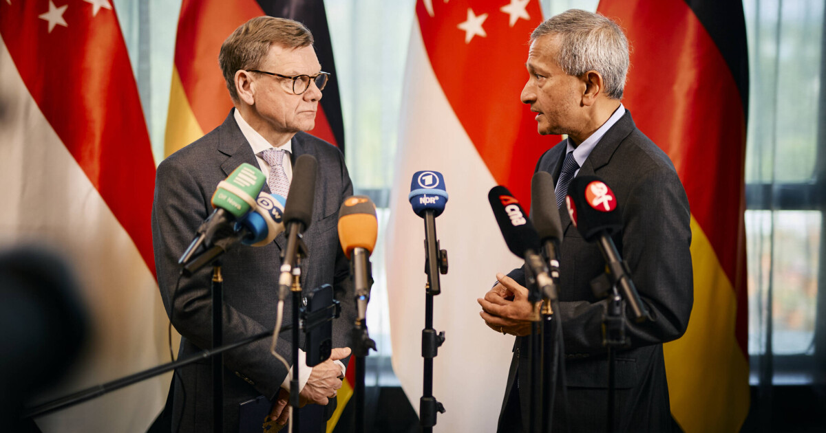 Germany and Singapore announce Year of Innovation • Table.Briefings