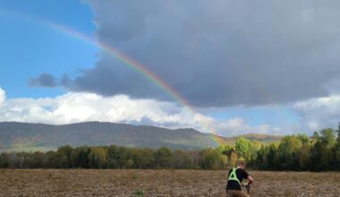 McCain unveils UK Farm of the Future to futureproof British agriculture | News