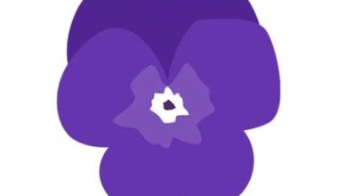 Free event to offer legal and property advice for families navigating dementia – The NEN – North Edinburgh News