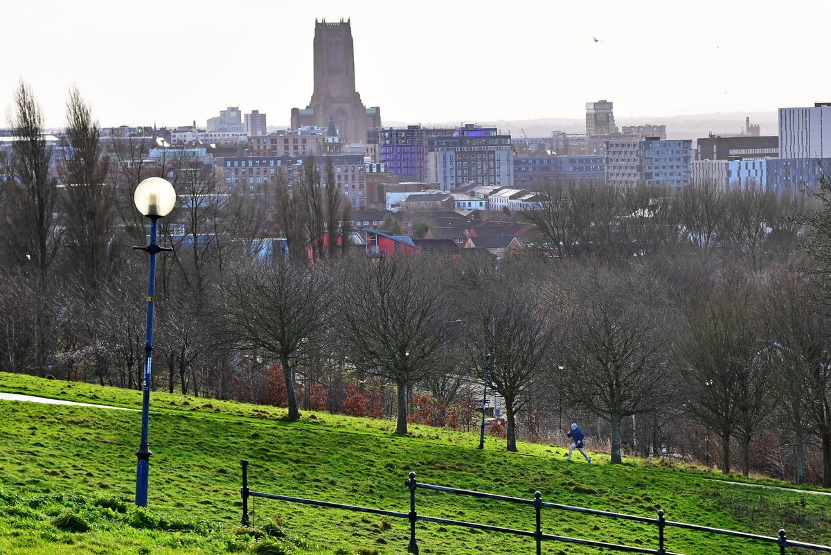 Sunshine views from Everton Park
