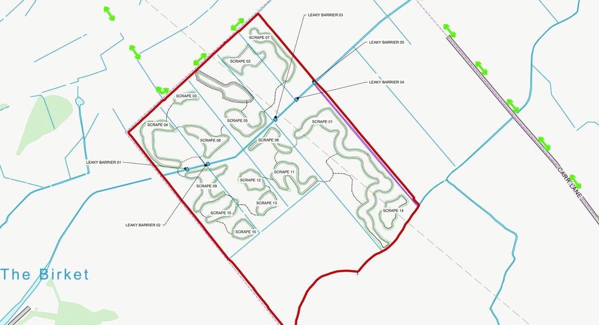 Plans that have been put forward for the wetland
