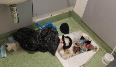 Man convicted for defacing Qurans at Leeds hospital