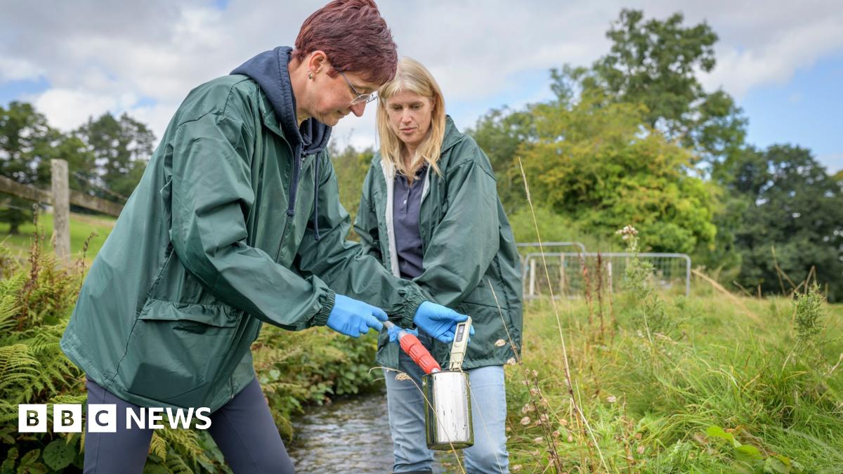 Two women stand in a river and carry out tests. The woman on the right is brown haired with dark trousers and a green jacket, the woman on the right is blonde with blue jeans, black wellies and a green jacket. The banks are overgrown with grass, ferns and wildflowers.