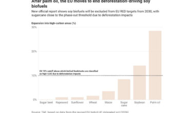 New research shows soya-derived biofuels should be excluded from EU…