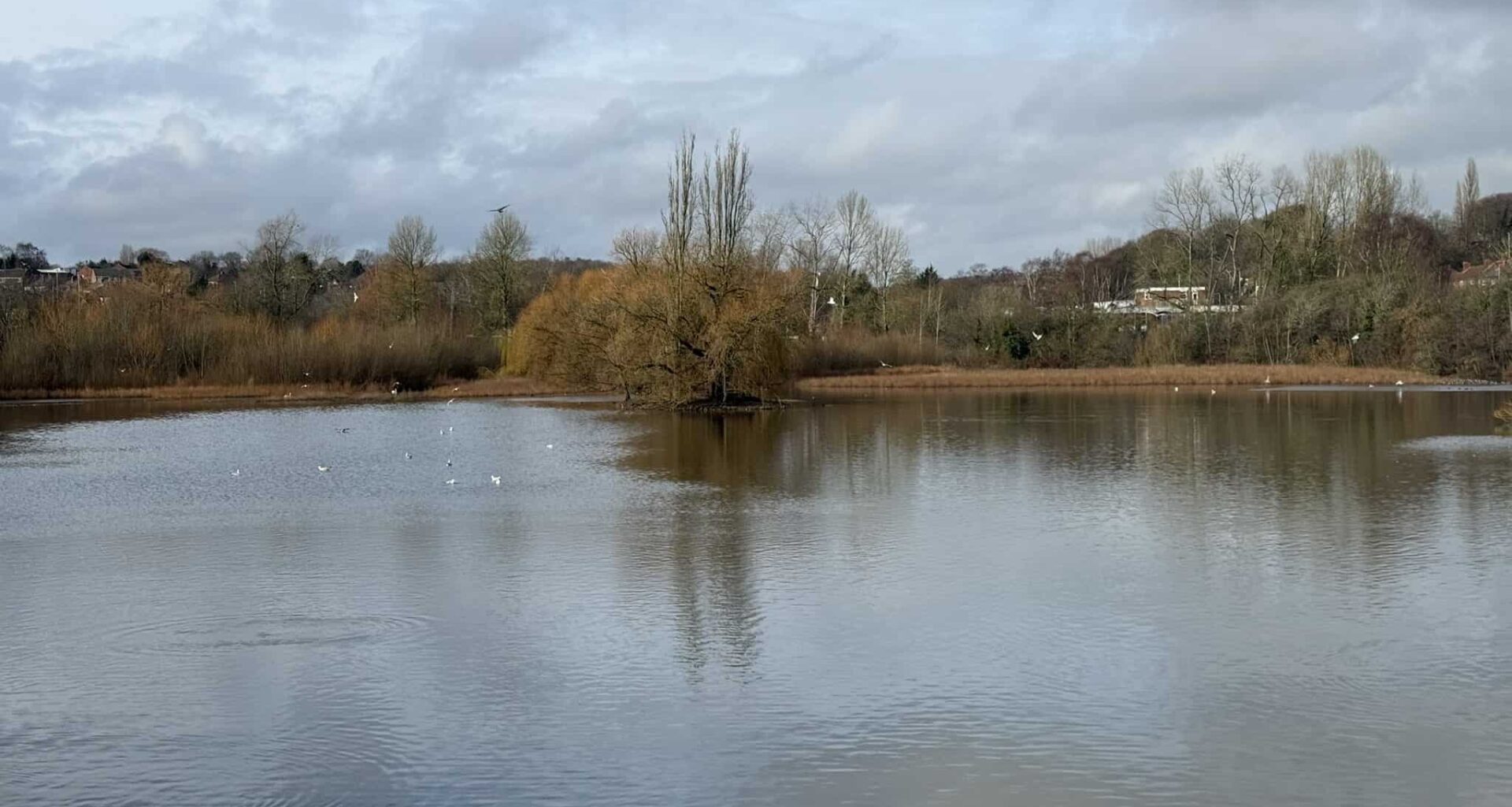 Concerns mount over silt buildup at West Leeds reservoir