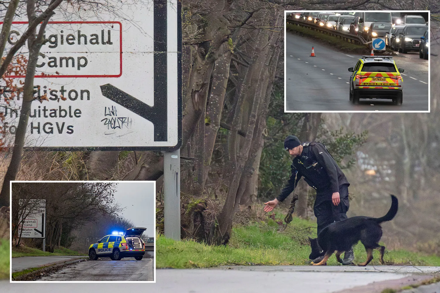 Collage of a police officer with a K9 dog, a police car with flashing lights on a rural road, and a police car directing traffic.