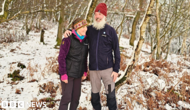 A picture of the Pornhub logo on a web browser.