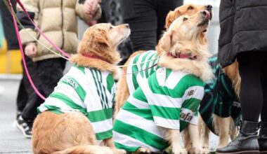 Celtic fans with their dogs are seen during the Scottish Premiership match