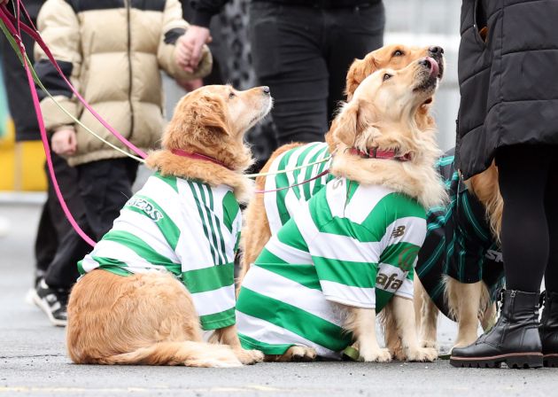 Celtic fans with their dogs are seen during the Scottish Premiership match